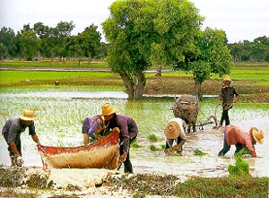 แผนพัฒนาฯ ฉบับที่ ๑ 